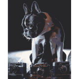 Nieśmiały fotograf 40x50cm, Art Craft - płótno naciągnięte na ramę