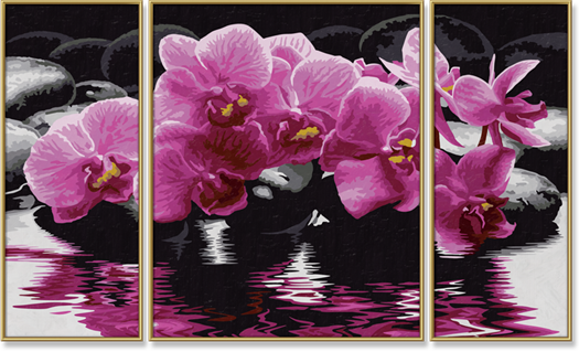 Orchidee 50 x 80 cm
