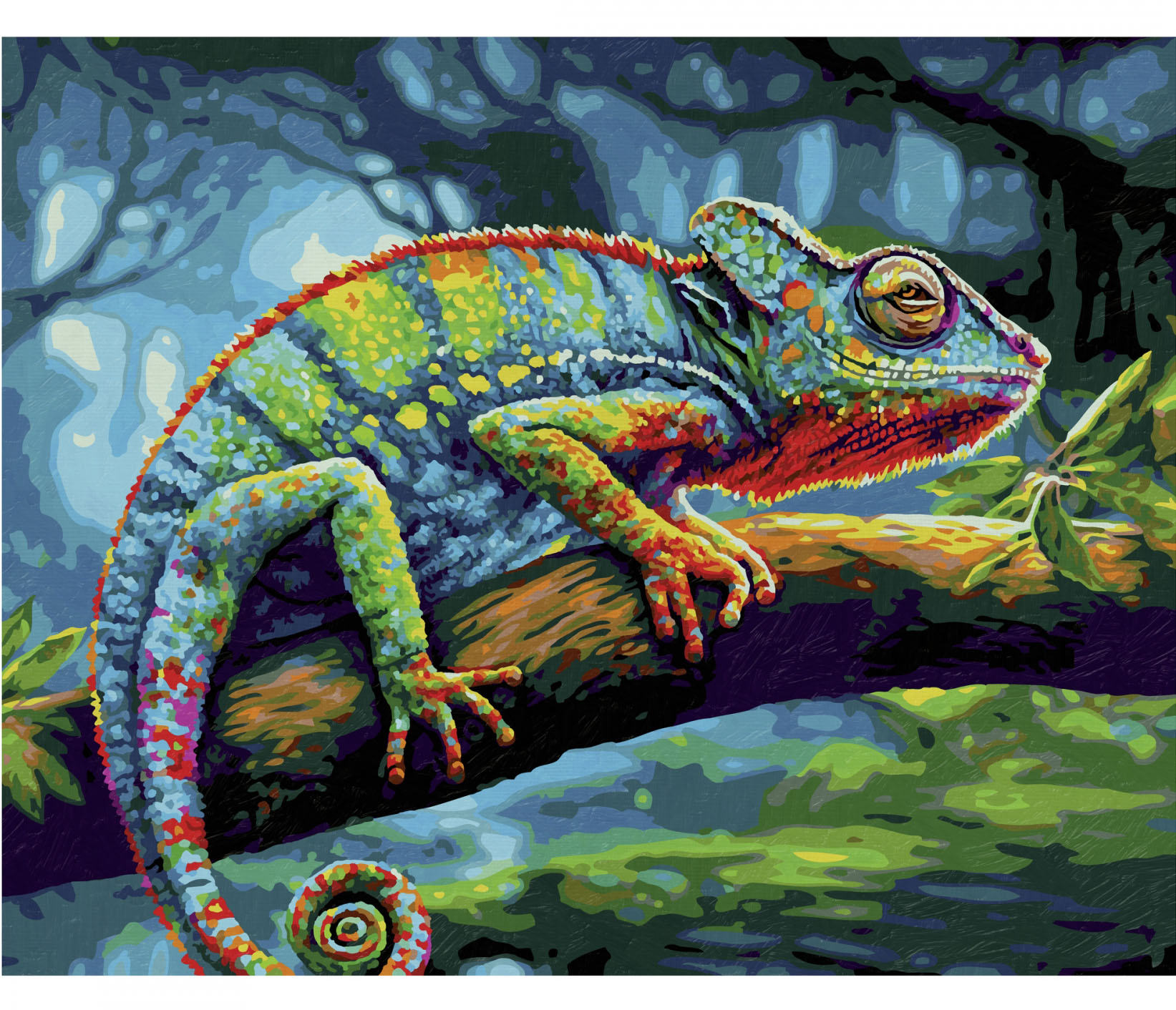 Kameleon 40 x 50 cm Schipper